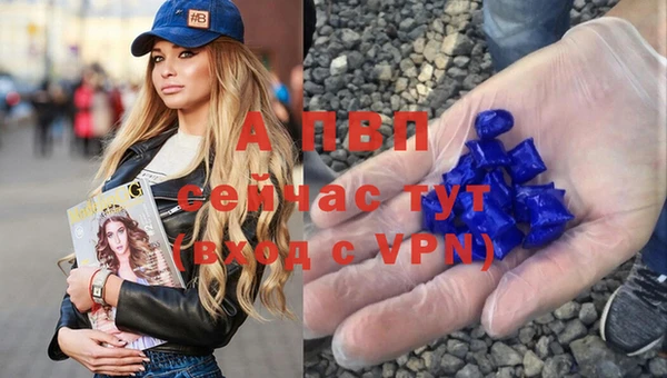 Альфа ПВП Белокуриха