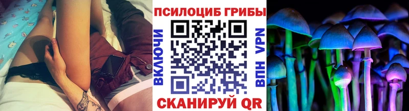 Галлюциногенные грибы GOLDEN TEACHER  Сковородино 